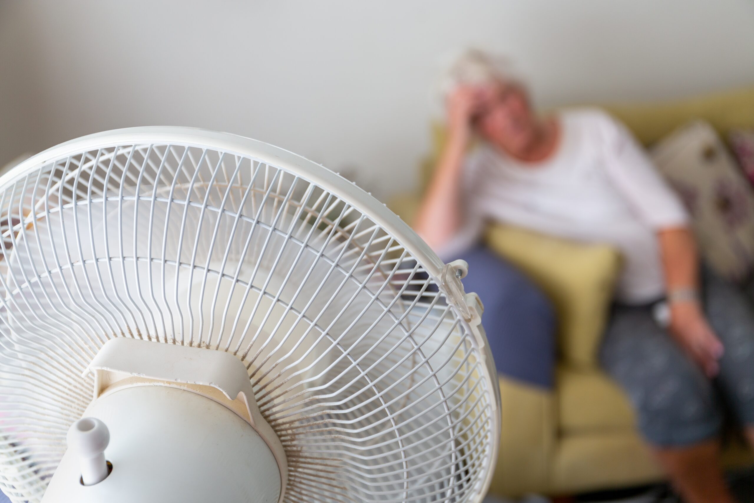 Caring for Older People in the Heat