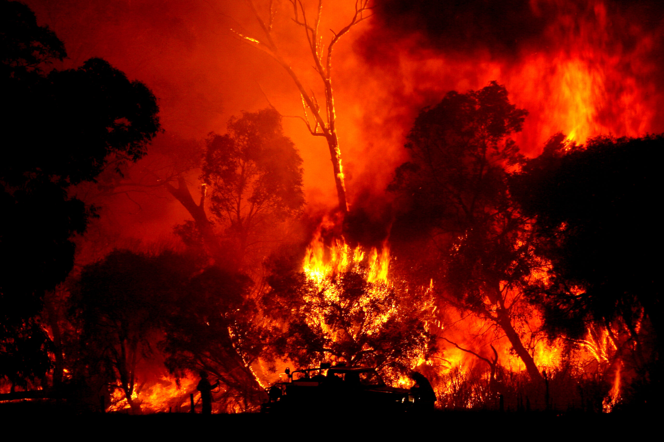How to stay safe in your car in a bushfire